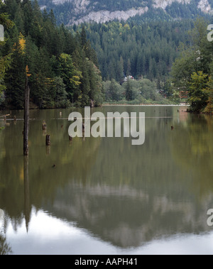 Lacu Rosu o lago rosso e il visibile di monconi di alberi annegato nella valle allagata Romania Foto Stock