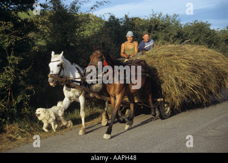 Padre e figlio la raccolta di fieno in autunno la Romania Foto Stock