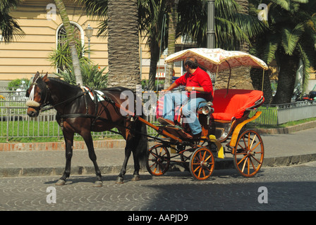 Sorrento resort cavallo e carrozza in cerca di turisti per un giro della città Foto Stock