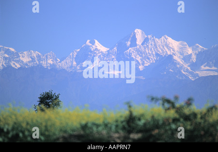 Distante Jugal Himal come si vede dalla zona Dhulikhel valle di Kathmandu in Nepal Foto Stock