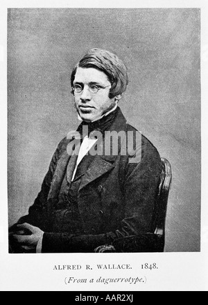 Alfred Russel Wallace 1823 1913 Foto Stock