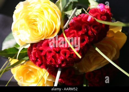 Fiori rossi e gialli handtied Foto Stock