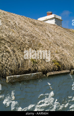 dh Laidhay Croft Museum DUNBEATH CAITHNESS Scottish imbiancato antica longhouse farm rush tetto di paglia tradizionale paglia primo piano cottage scozia Foto Stock