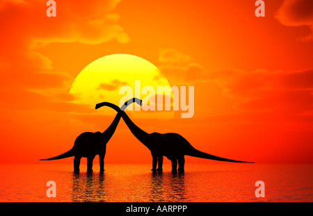 Una coppia di stagliano Diplodocus di raffreddamento nelle acque di un lago preistorico.All'alba di un nuovo giorno. Foto Stock