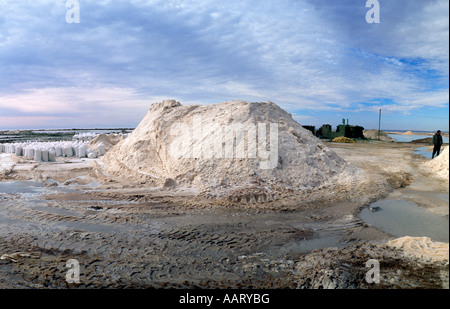 Chott el Djerid Tunisia endorheic Salt Lake la più grande Salt Pan del deserto del Sahara Foto Stock