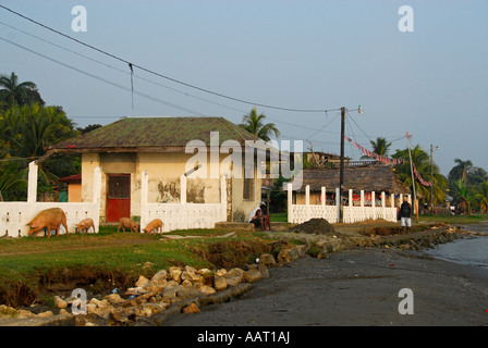 Case e bigs sulla spiaggia, Livingstone, Guatemala, America Centrale Foto Stock