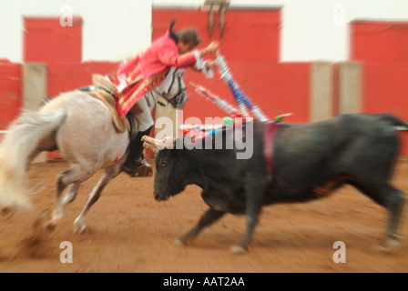 Un picador a cavallo Accoltella il toro con un altro bandeirilhas fiorito in una corrida a Graciosa, Azzorre, Portogallo Foto Stock