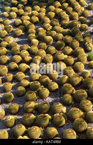 Il Getty Center di Los Angeles in California Foto Stock
