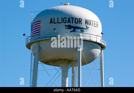 Alligatore serbatoio acqua McBee South Carolina USA Foto Stock