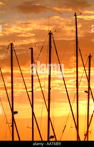 Molte barche a vela a montanti contro un colorato di rosso arancione tramonto Foto Stock