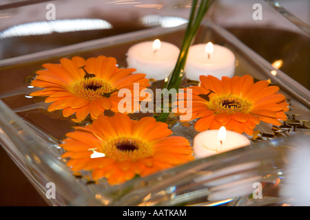 Orange Gerbera fiori galleggianti in acqua vaschetta riempita con candele Foto Stock