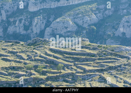 Resti del passato agricole nelle montagne del 'Monte Sant'Angelo', Gargano in Puglia, Italia Foto Stock