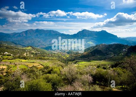 Sierra Bermeja attraverso il Fiume Valle Genal Andalusia Spagna Foto Stock