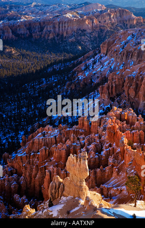 Inverno a Bryce Canyon National Park nello Utah Stati Uniti d'America Foto Stock