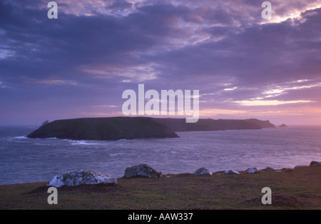 Isola di Skomer dalla testa Marloes Pembrokeshire Coast National Park in Galles Foto Stock