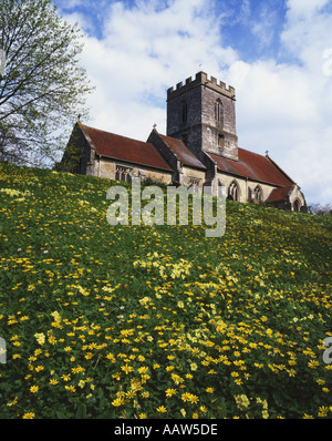 Lesser Celandine Ranunculus ficaria moquette Rowington Chiesa cimitero Warwickshire Foto Stock