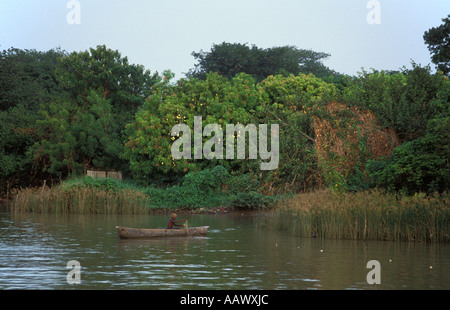 Pescatore in una piroga sul fiume Gambia presso Janjangbureh MacCarthy , Isola , il Gambia Foto Stock