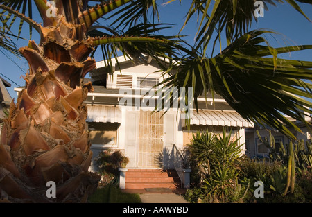 Colore immagine orizzontale di un artigiano in stile bungalow casa illuminata dal caldo sole del pomeriggio con un grande albero di palma in primo piano Foto Stock