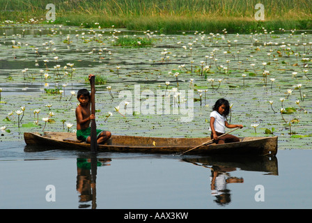 I gemelli indigeni paddling in barca tradizionale sul Rio Dulce davanti di ninfee, Guatemala, America Centrale Foto Stock