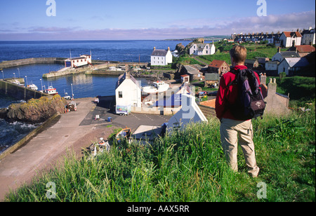 Passeggiate costiere walker guardando verso il basso sulla Scenic porto dei pescatori di St Abbs sulla costa Berwickshire Scottish Borders Scotland Regno Unito Foto Stock