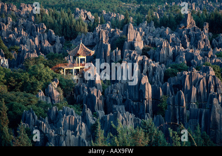 Padiglione presso la foresta di pietra nei pressi di Shilin Cina Foto Stock