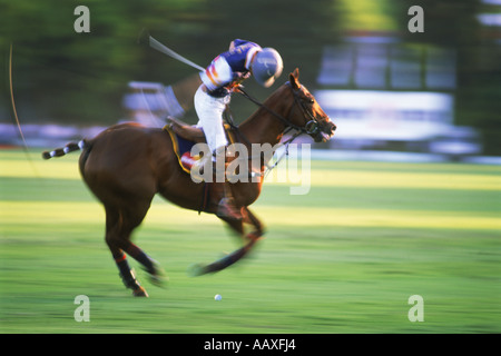 Giocatori di polo in azione a Campo de Polo in Buenos Aires, Argentina Foto Stock