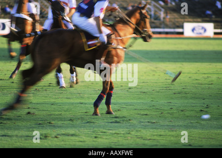 Giocatori di polo in azione a Campo de Polo in Buenos Aires, Argentina Foto Stock