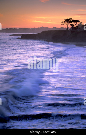 Famoso Cipresso al tramonto lungo le scogliere della California del litorale del Pacifico e dell'oceano Foto Stock
