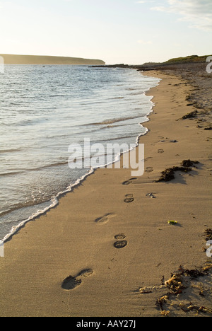 Dh Birsay Bay BIRSAY ORKNEY impronte in spiaggia di sabbia lungo la riva del mare al tramonto tramonto vuoto stampe del piede Foto Stock