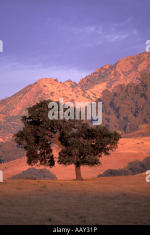Luce rossa a giorni fine sul Monte Diablo in California East Bay Area in Contra Costa County in verticale Foto Stock