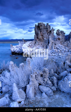 Tufas formazioni rocciose nel deserto del Lago Mono nelle montagne della Sierra orientale durante una tempesta di neve in verticale Foto Stock
