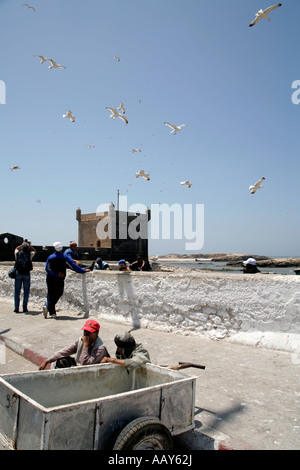 Porto di essaouira Foto Stock