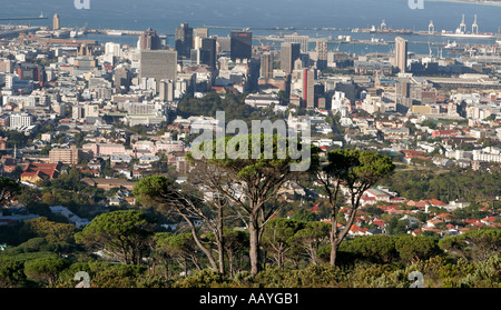 Sud Africa cape town vista panoramica dal Monte table downtown Foto Stock