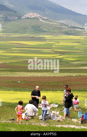 Spettacolare Millefiori annuale display sul piano Grande a Castelluccio ,nel Parco Nazionale dei Monti Sibillini,Le Marche,Italia Foto Stock