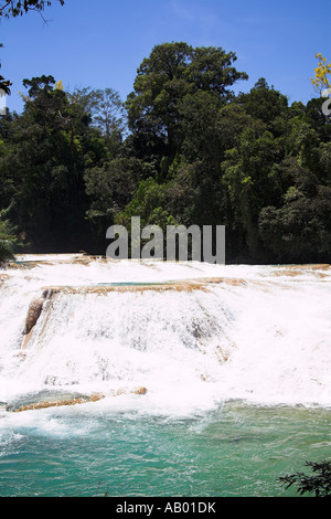 Cascada Agua Azul, Agua Azul cascata, Parque Nacional Agua Azul, nei pressi di Palenque, Chiapas, Messico Foto Stock