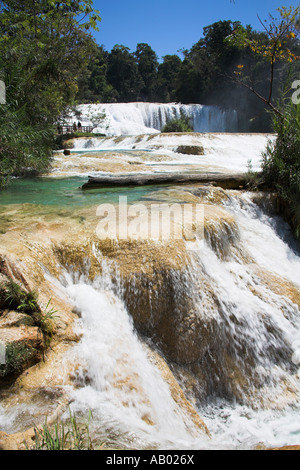 Cascada Agua Azul, Agua Azul cascata, Parque Nacional Agua Azul, nei pressi di Palenque, Chiapas, Messico Foto Stock