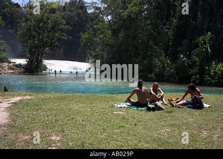 Cascada Agua Azul, Agua Azul cascata, Parque Nacional Agua Azul, nei pressi di Palenque, Chiapas, Messico Foto Stock