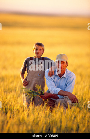 Agricoltura - contadino e suo figlio in un campo di grano di maturazione / Central Montana, USA. Foto Stock