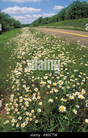 Elk279 1537 Avvolgimento Oklahoma Stair NRA Talimena Scenic Byway paesaggio Foto Stock