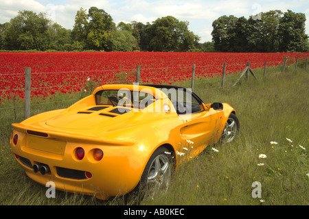 Auto posteriore giallo Foto Stock