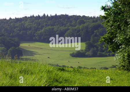 Vista sud da Pewley Downs Foto Stock