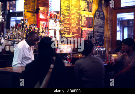 Lizard Lounge Bar sulla rue Bourg Tibourg nel quartiere Marais di Parigi Francia Foto Stock