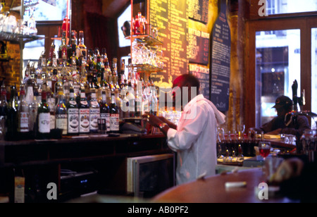 Lizard Lounge Bar sulla rue Bourg Tibourg nel quartiere Marais di Parigi Francia Foto Stock