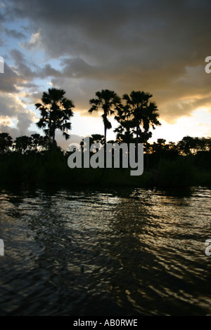 Tramonto e palme lungo le rive del fiume Shire, Malawi, Africa Foto Stock