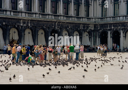 Ovunque i turisti si radunano in Piazza San Marco i piccioni si riunivano anche Foto Stock