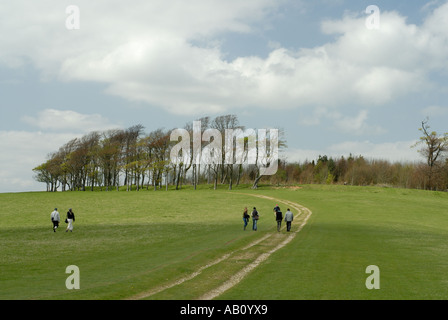 Un gruppo di persone che salgono fino a Chanctonbury ring il sito di una piccola età del ferro hillfort sulla South Downs di Inghilterra Foto Stock