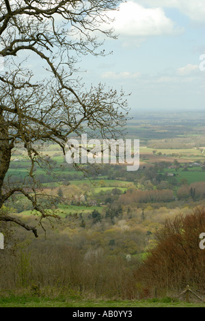 Guardando a Nord ovest attraverso il South Downs da Chanctonbury Ring Foto Stock