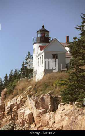 Piccolo faro si siede tra gli alberi di pino sulla cima di una scogliera rocciosa Bar Harbor Maine Foto Stock