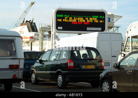 Influenza aviaria Avviso consultivo per i viaggiatori Dover Kent England Regno Unito Regno Unito Foto Stock