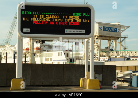 Influenza aviaria Avviso consultivo per i viaggiatori Dover Kent England Regno Unito Regno Unito Foto Stock